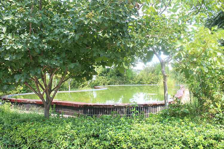 半岛在线体育网-半岛(中国)机械厂区环境优美